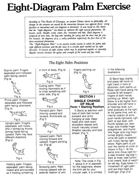 01.jpg></span><b><font face=