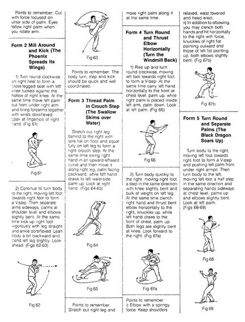 01.jpg></span><b><font face=