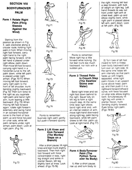 01.jpg></span><b><font face=